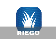 Riego